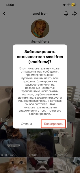 Как заблокировать человека в TikTok